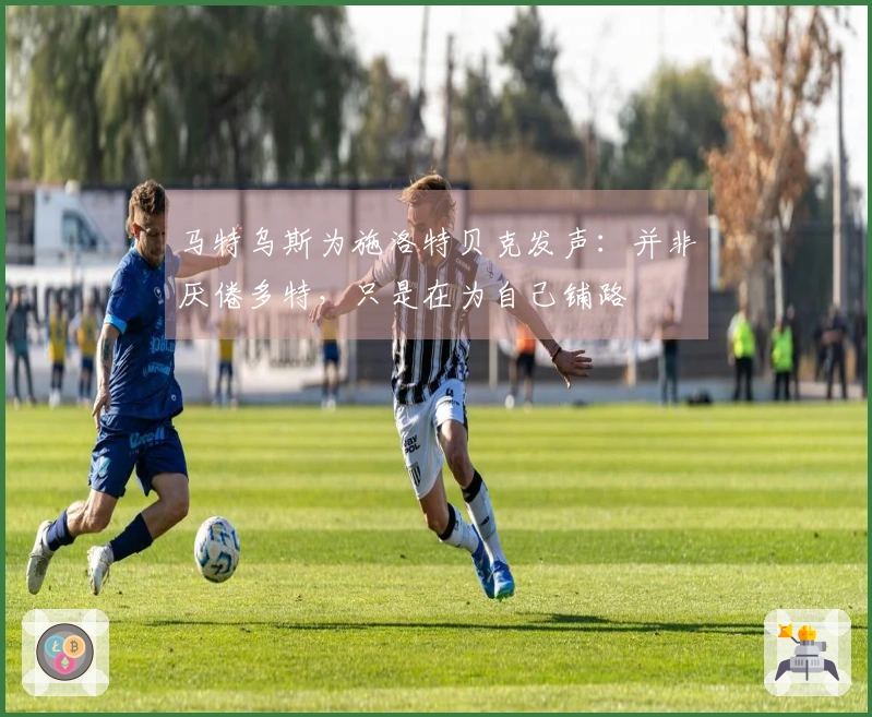马特乌斯为施洛特贝克发声：并非厌倦多特，只是在为自己铺路